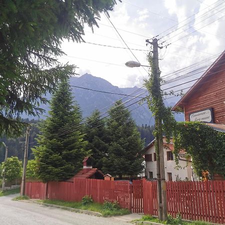 Pensiunea Fara Nume Buşteni Exteriér fotografie