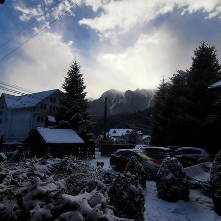 Pensiunea Fara Nume Buşteni Exteriér fotografie