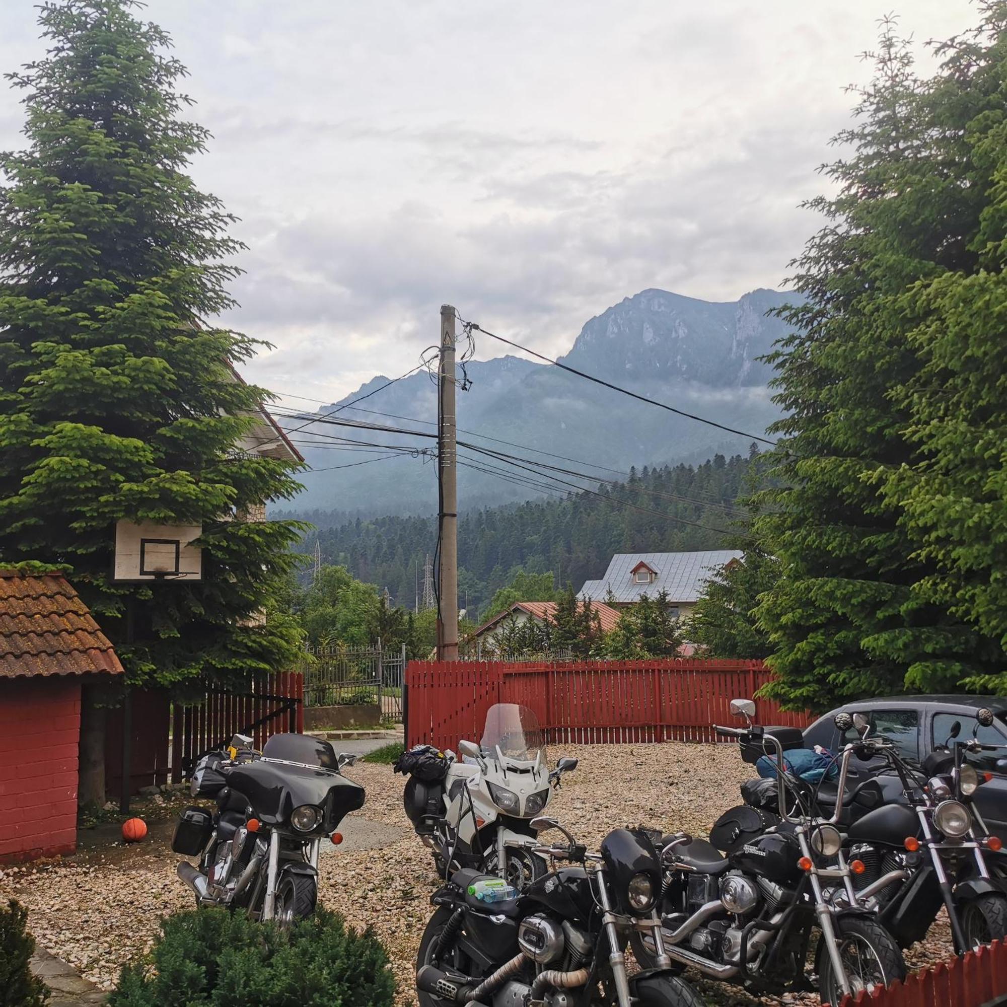 Pensiunea Fara Nume Buşteni Exteriér fotografie